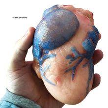Load image into Gallery viewer, Extra Large Swell Polymer Heart
